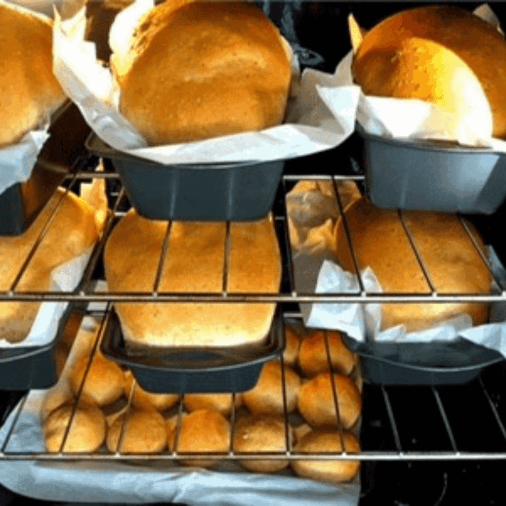 Loaves of whole wheat bread baking in oven