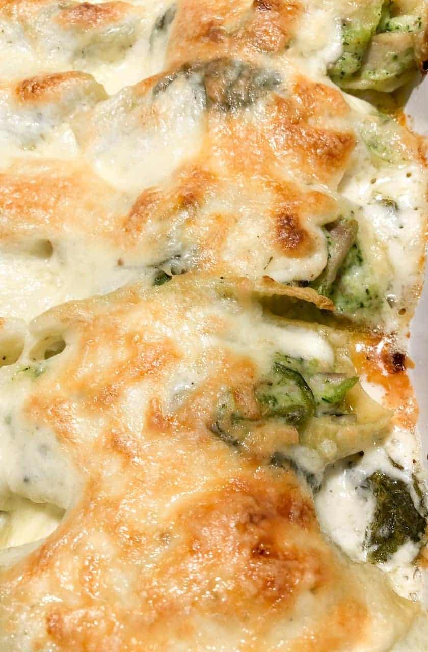 Stuffed alfredo shells with chicken, broccoli, and spinach in homemade alfredo sauce
