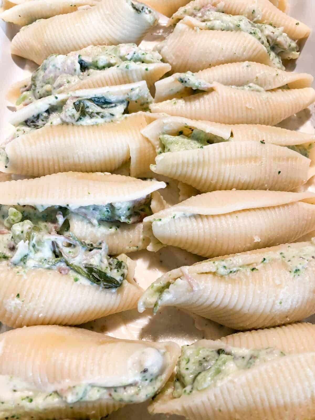 Stuffed alfredo shells with chicken, broccoli, and spinach in homemade alfredo sauce