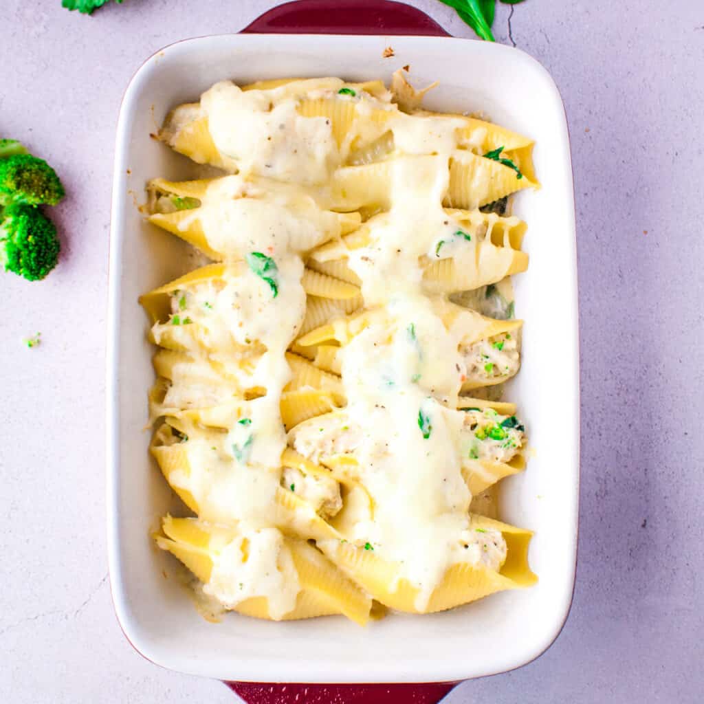 Pasta shells stuffed with chicken alfredo and broccoli in a casserole dish.