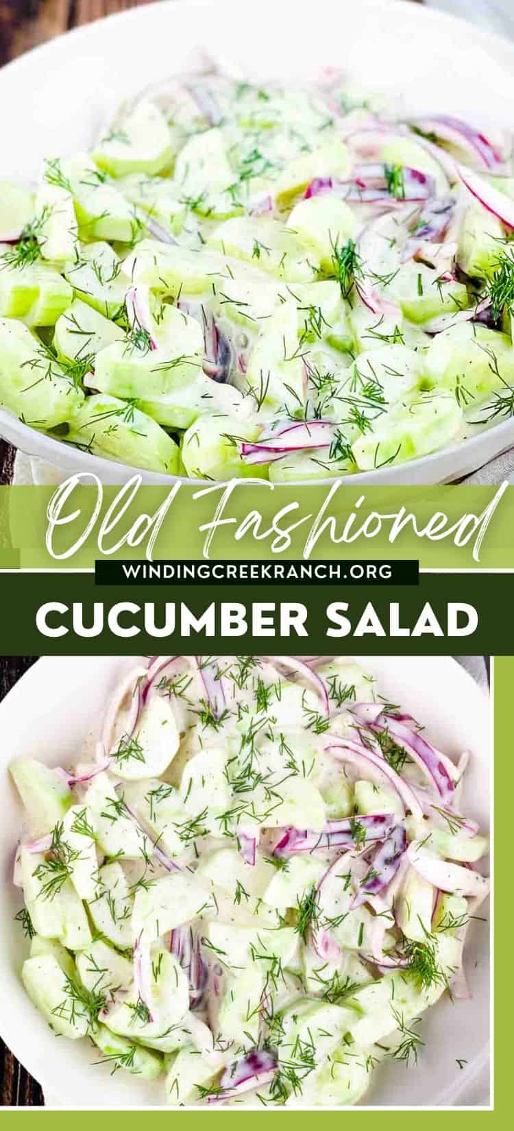 Creamy Old-Fashioned Cucumber Salad with Mayo
