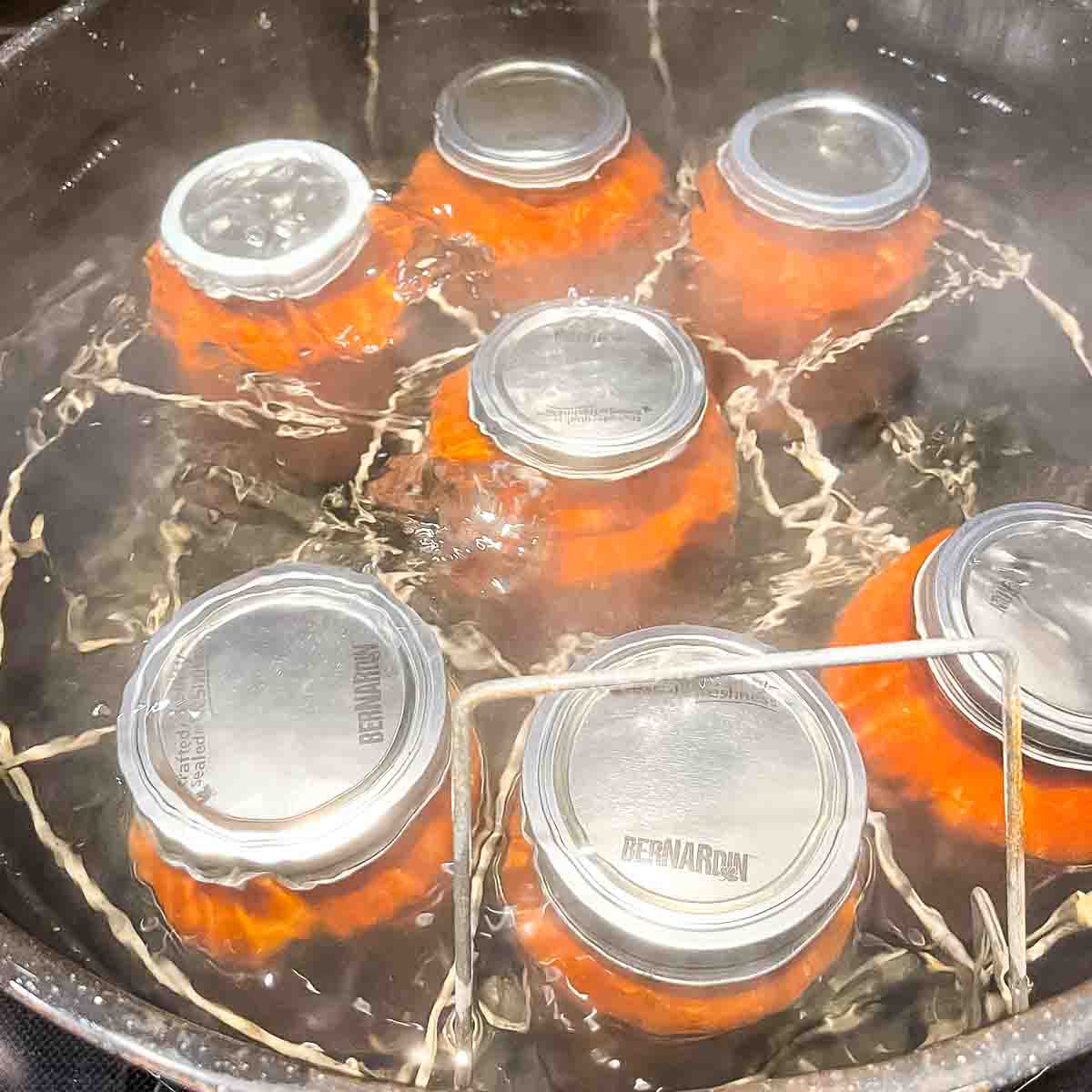 The jars of spaghetti sauce processing in a water bath canner.