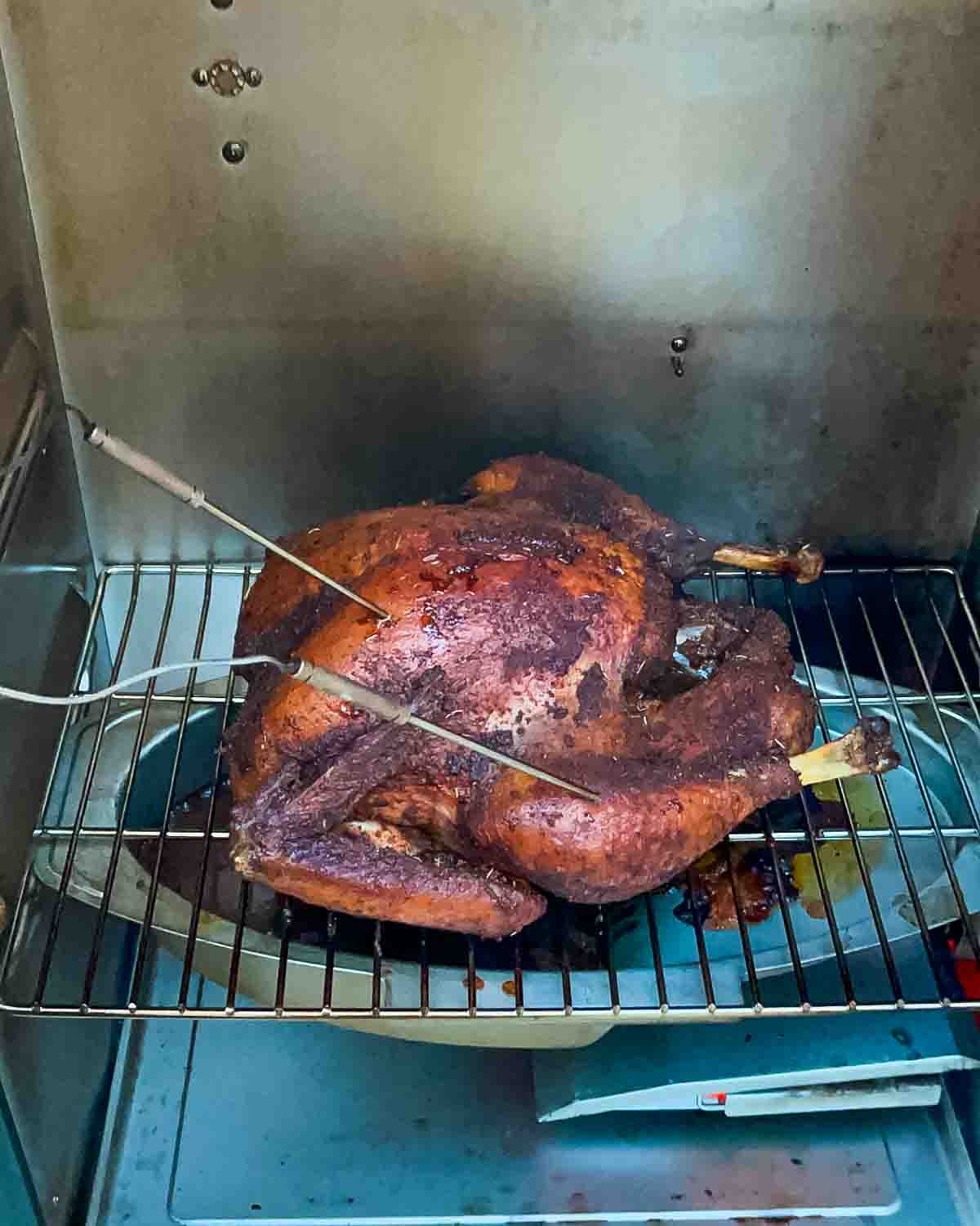 The finished smoked turkey in the electric smoker with a temperature probe inserted, ready to be removed.