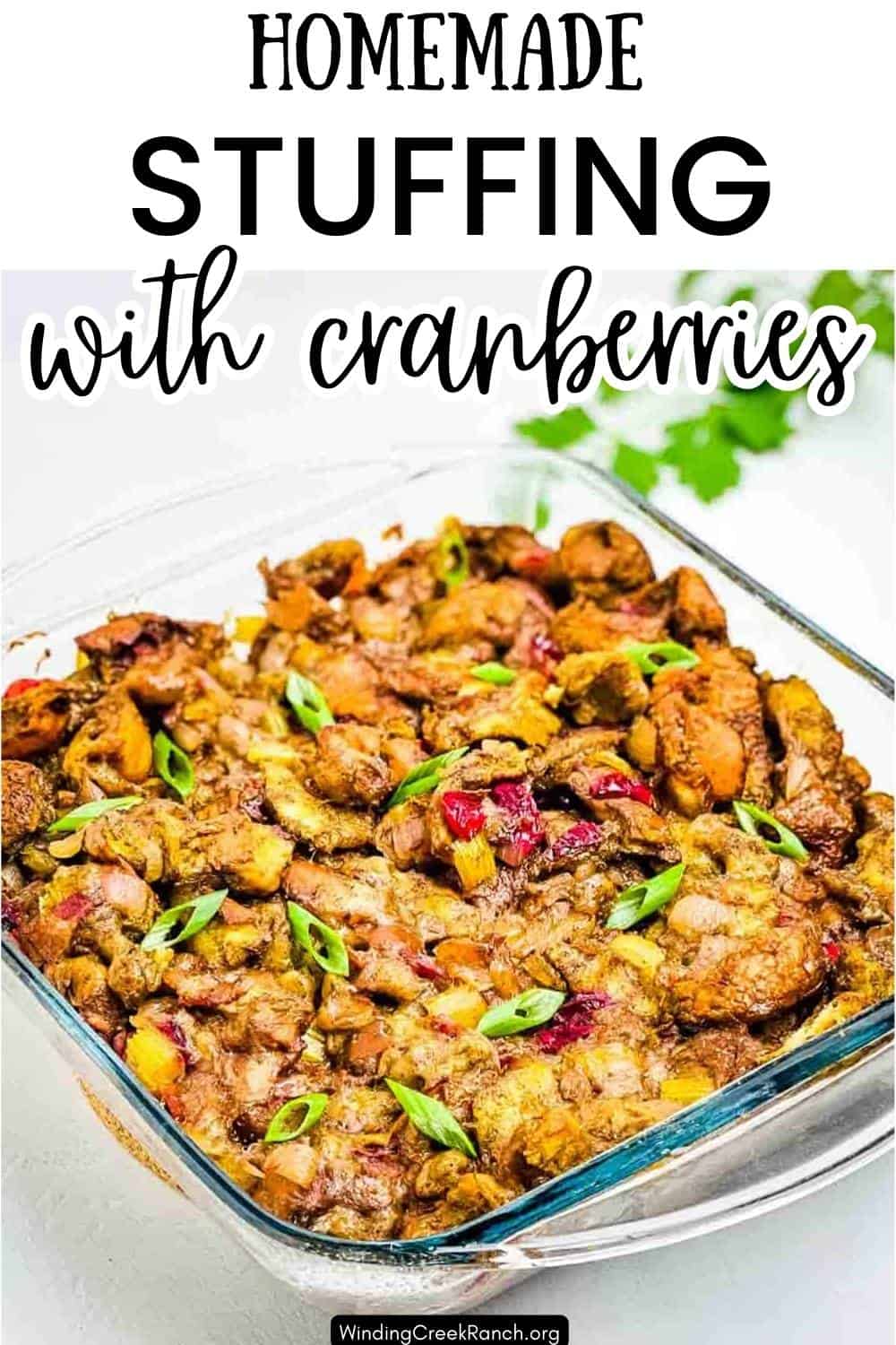 Stuffed To Homemade Stuffing With Bacon and Cranberries