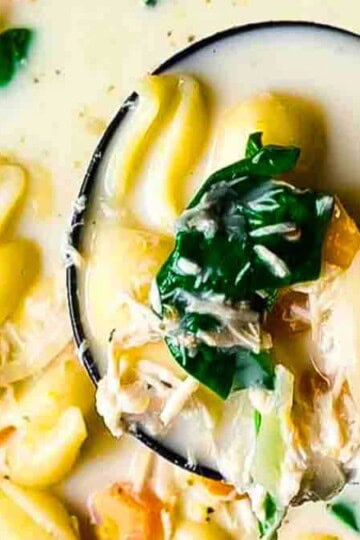 A soup ladle lifting up a scoop of creamy chicken soup to serve.