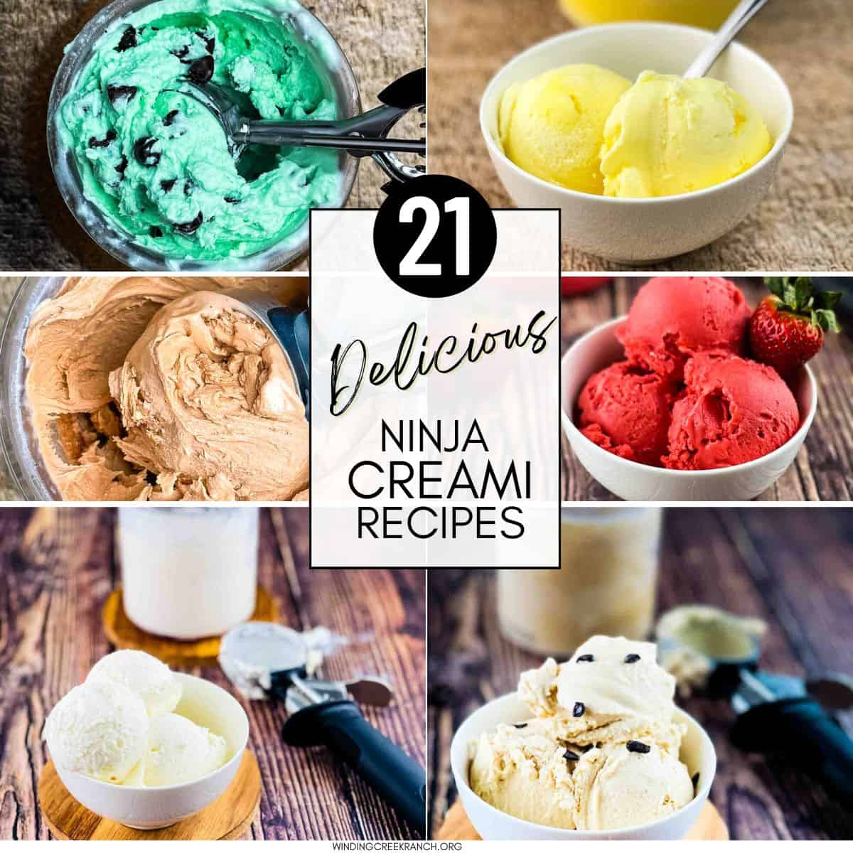 A collage of various Ninja Creami recipes, showcasing how thick and creamy it is.