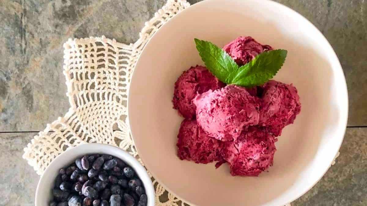 No churn homemade honeyberry ice cream in a white bowl with a small white dish of haskap berries.