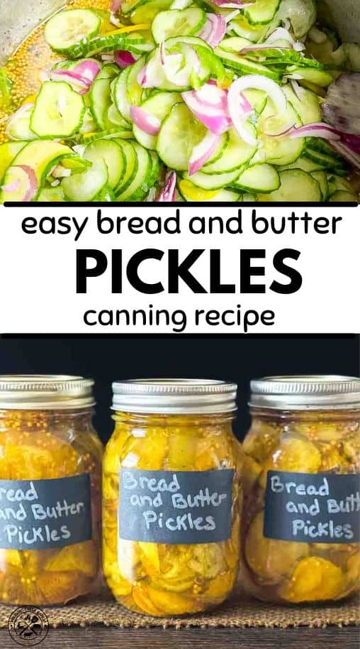 Small Batch Bread and Butter Pickles - Winding Creek Ranch