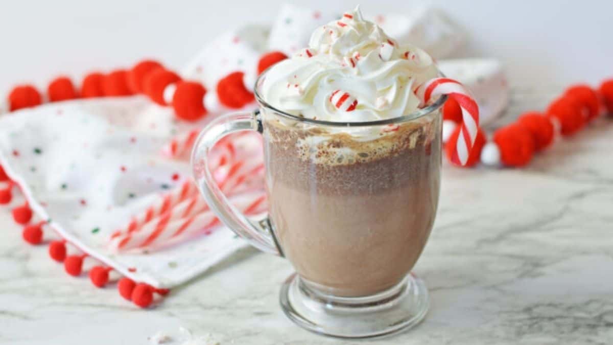 Steaming dark hot chocolate topped with whipped cream and a candy cane.