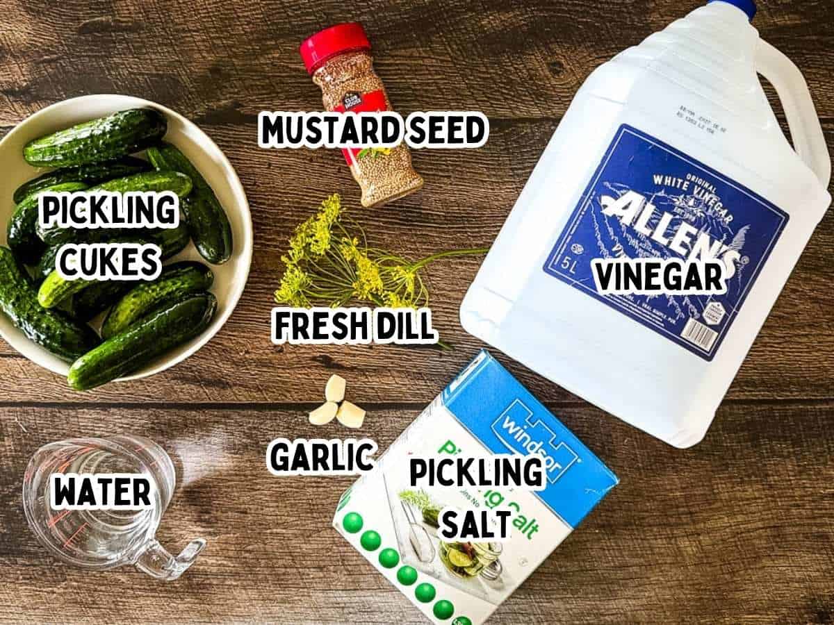 Ingredients for homemade refrigerator dill pickles including pickling cucumbers, garlic, fresh dill, mustard seeds, vinegar, water, and pickling salt on a wooden surface.