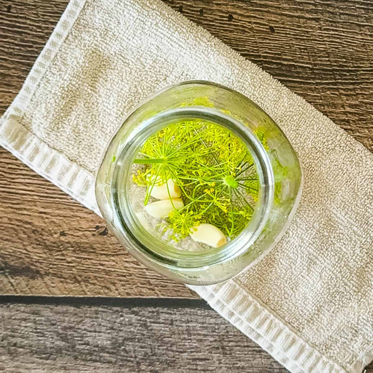 Glass jar with fresh dill and garlic cloves at the bottom.
