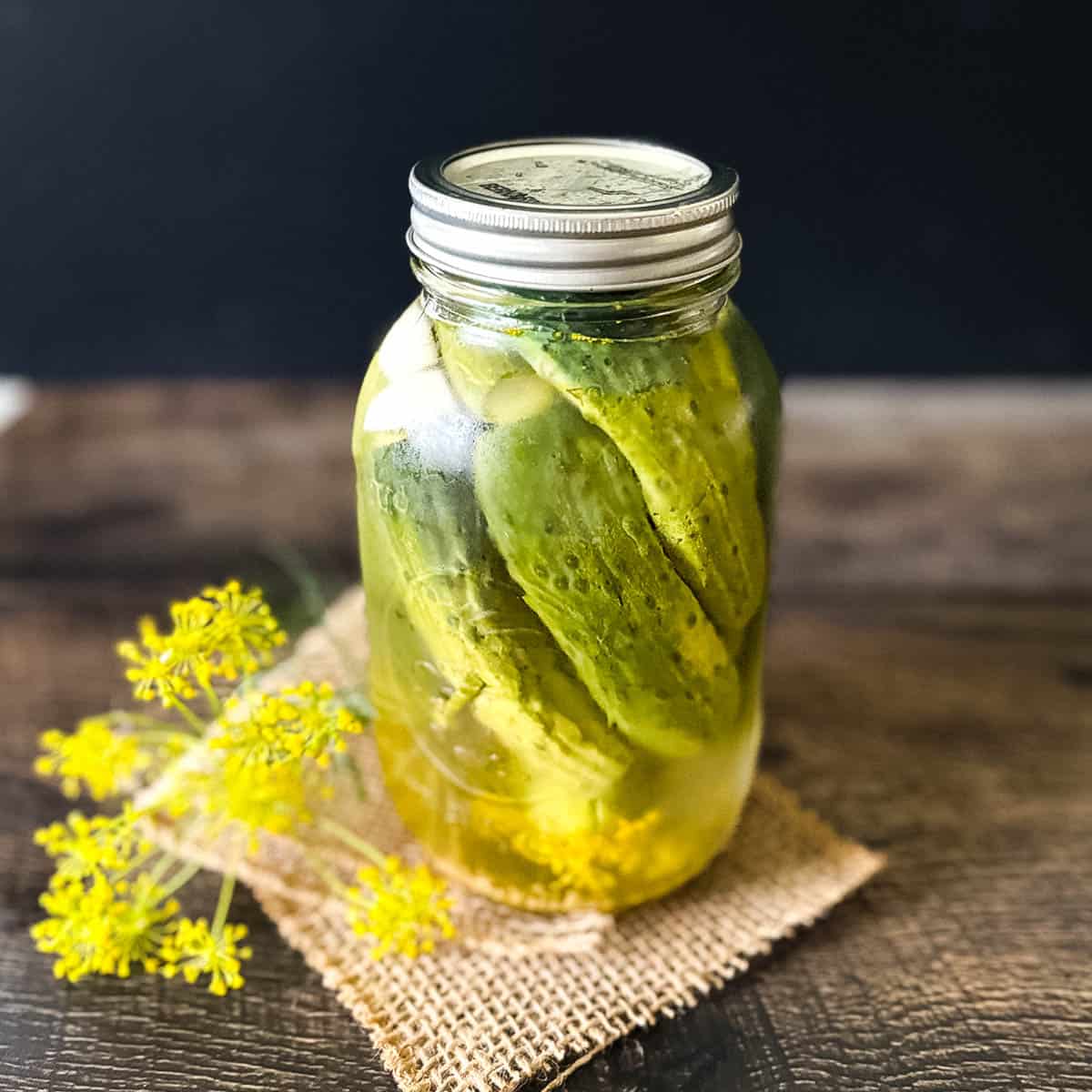 Homemade refrigerator dill pickles in a mason jar with fresh dill flowers on rustic wood background.
