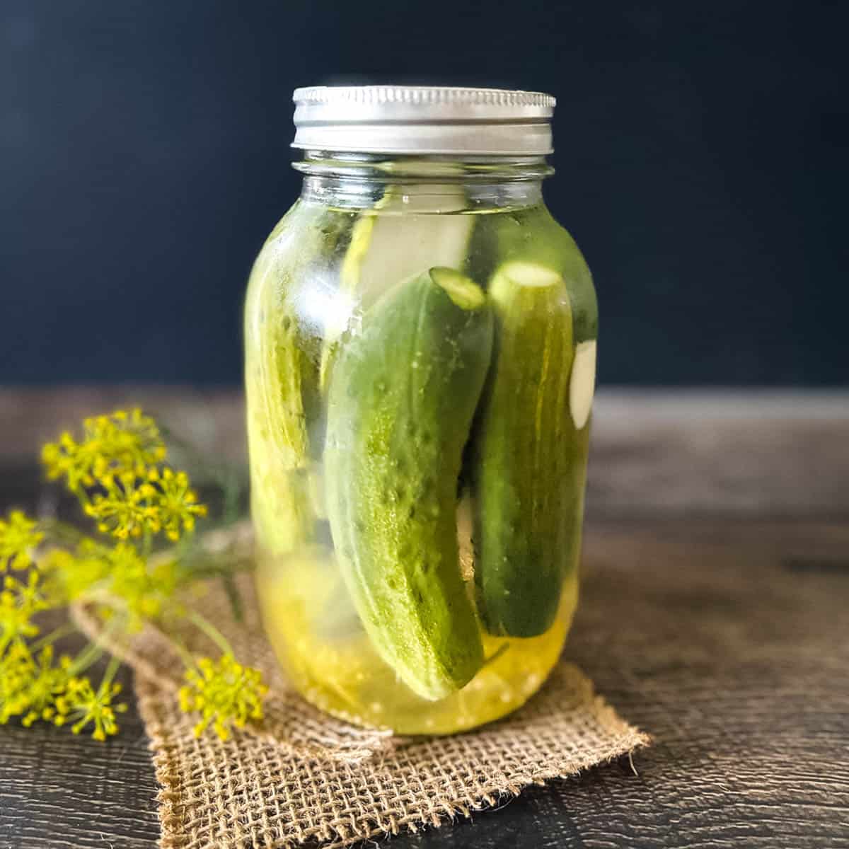 Jar of homemade refrigerator dill pickles with garlic and dill on a rustic wooden table.