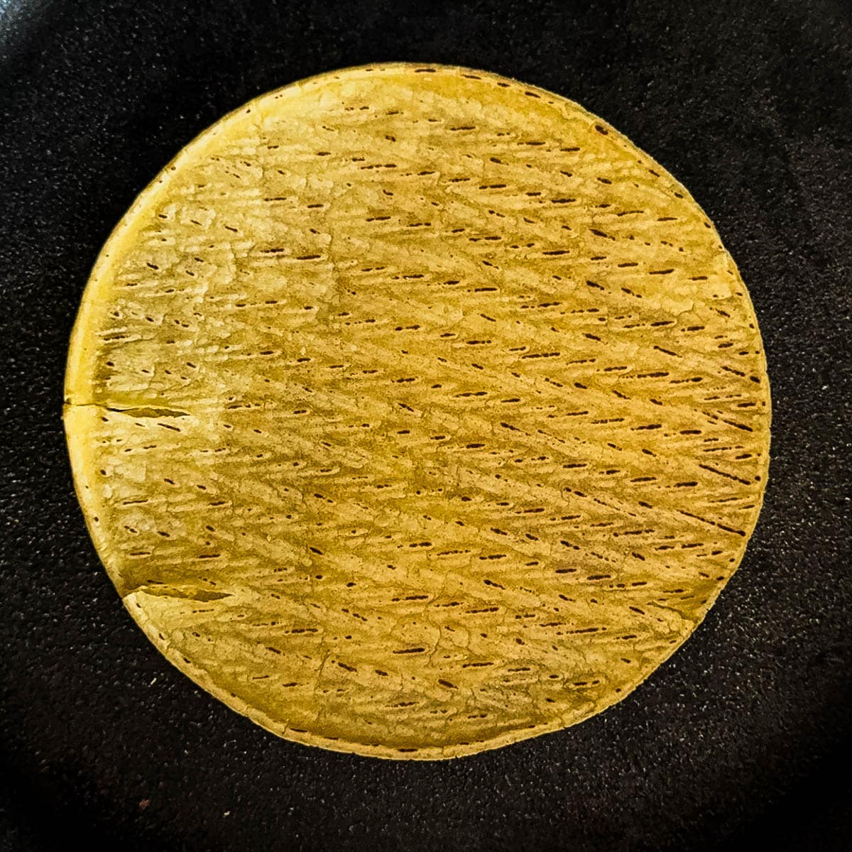 A corn tortilla being warmed on a dry skillet.