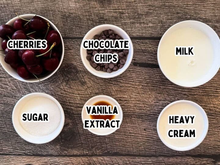 Ninja Creami Cherry Chocolate Chip Ice Cream - Winding Creek Ranch
