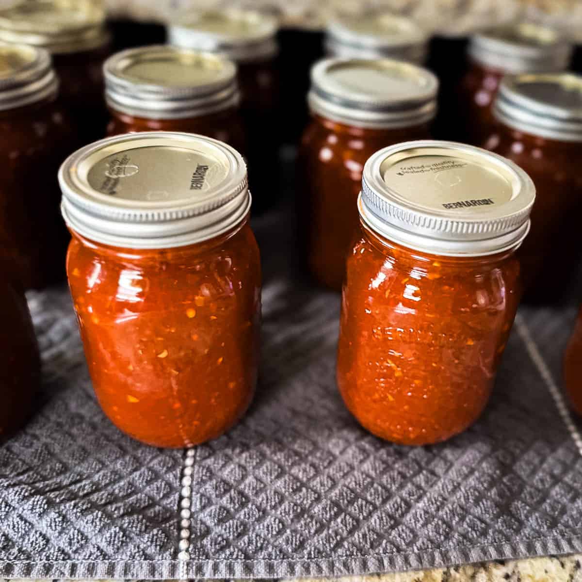 The filled jars cooling on the counter on a kitchen towel.