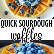 Quick sourdough discard waffles stacked on a plate, topped with yogurt and fresh blueberries. Golden and crisp waffles with text overlay 'Quick Sourdough Waffles'.