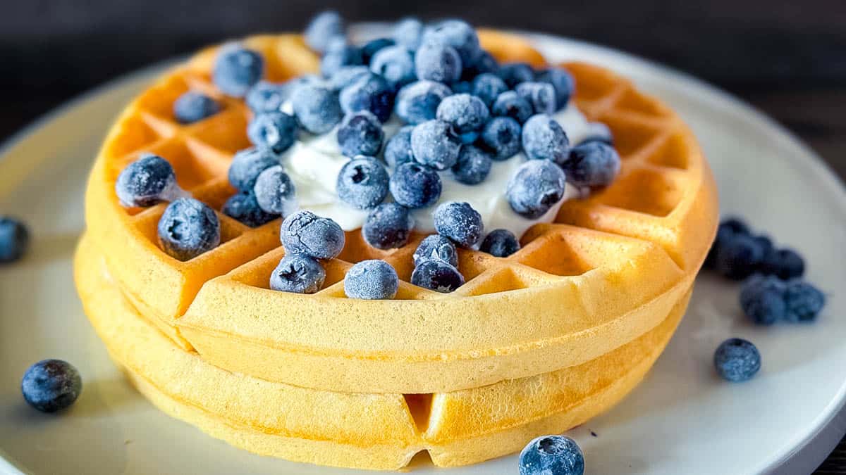 Two sourdough Belgian waffles stacked on a white plate, topped with Greek yogurt and blueberries.