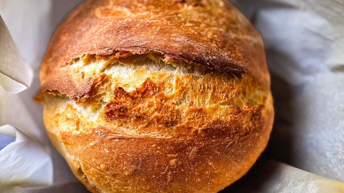 Freshly baked sourdough discard bread loaf with a crisp, golden-brown crust and rustic scoring.