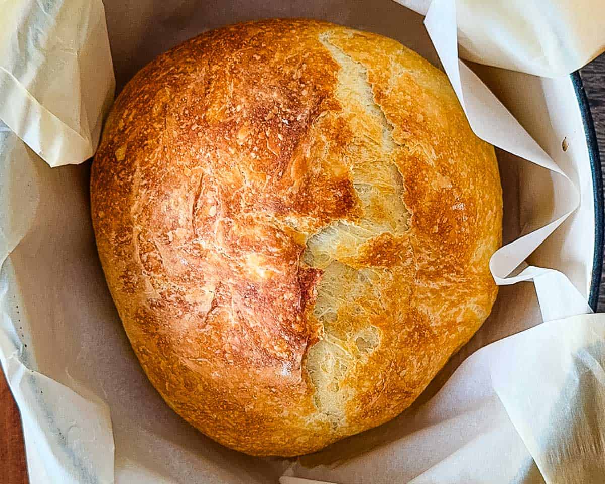 Golden-brown sourdough discard bread fresh out of the oven in a parchment-lined Dutch oven, with a crisp crust and rustic scoring.