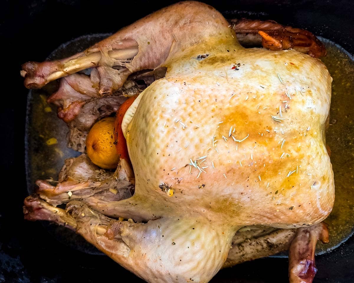A juicy turkey resting in the roaster oven, with meat falling off the leg it is so tender.
