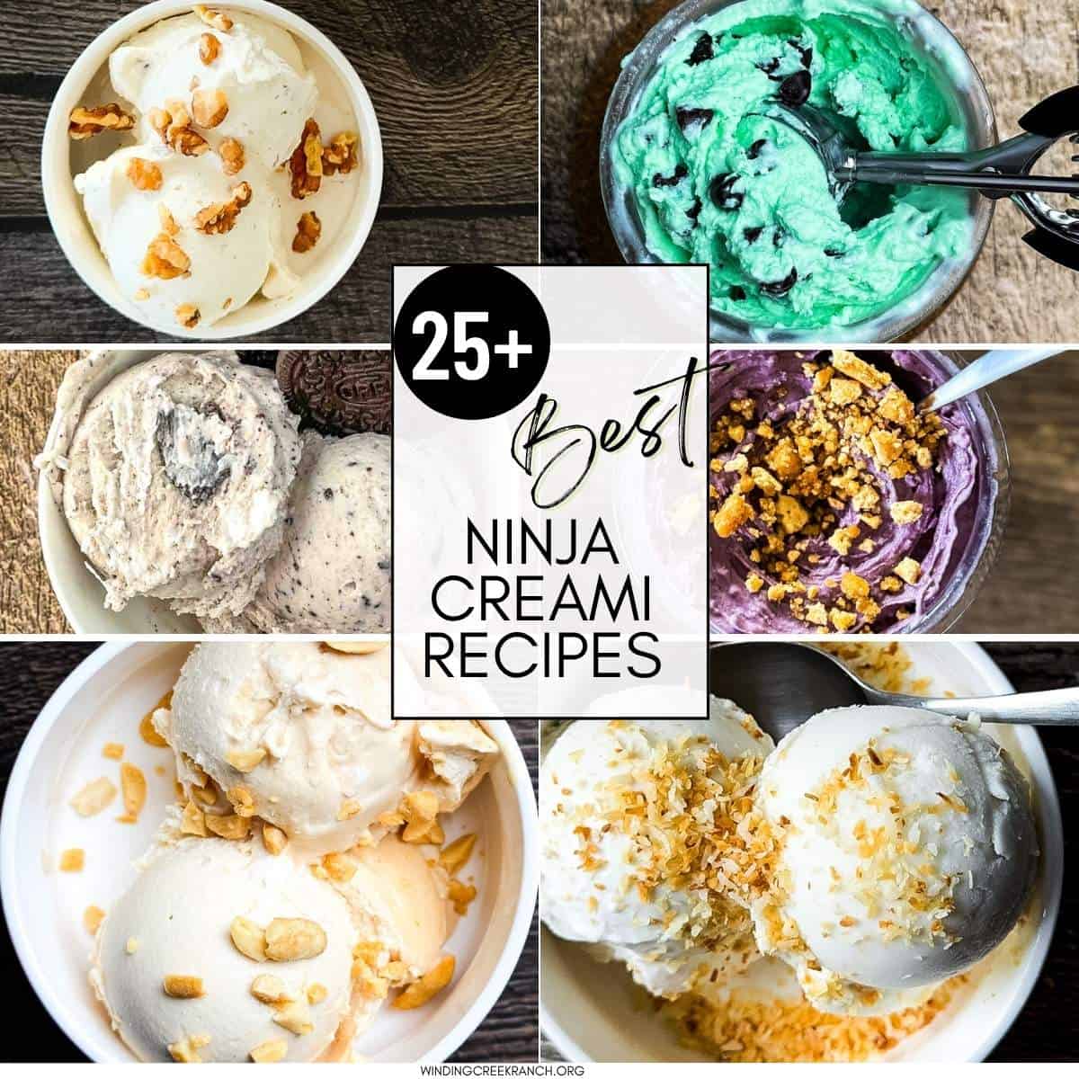 A collage of various Ninja Creami recipes, showcasing how thick and creamy it is.