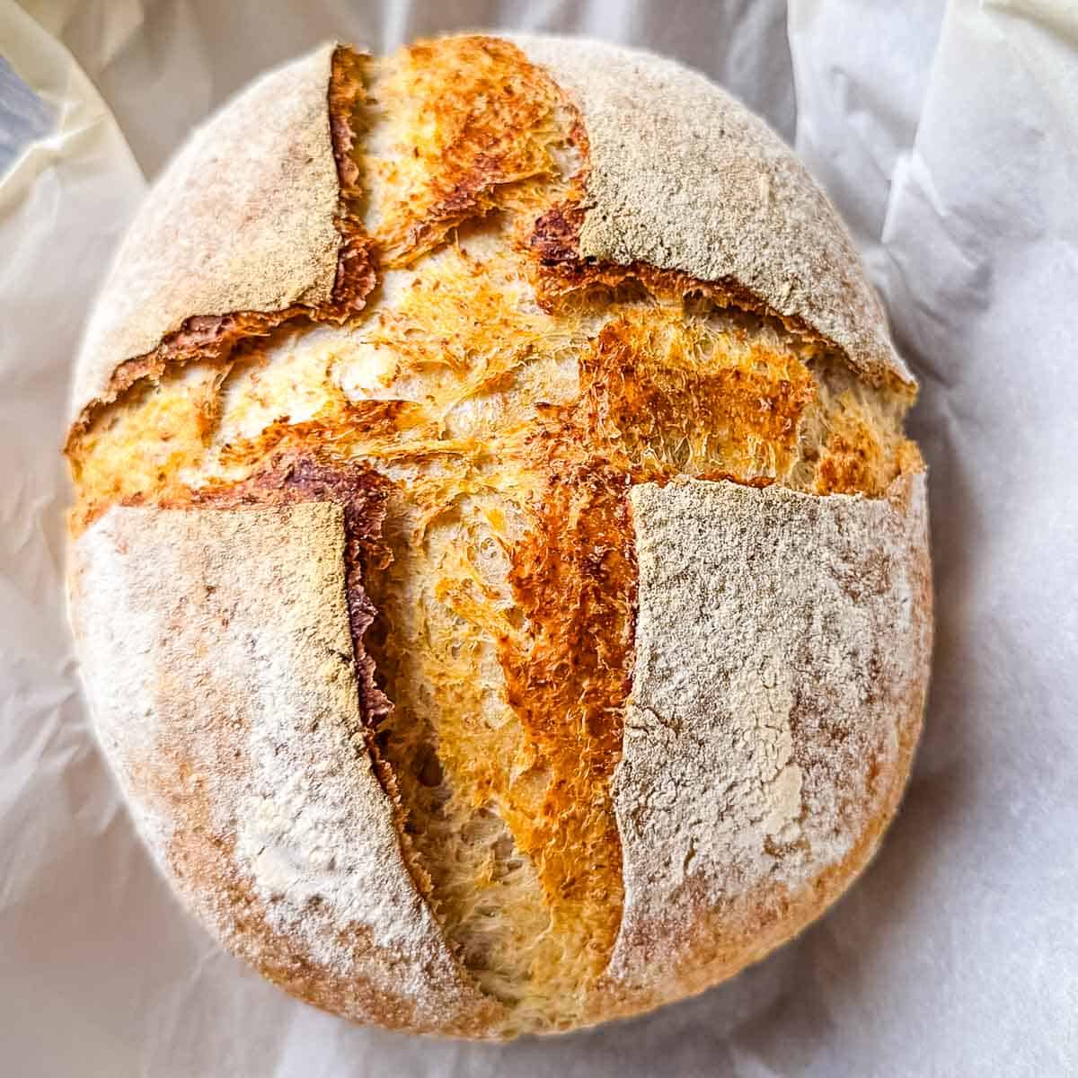 A loaf of homemade whole wheat sourdough bread cooling on a wire rack.