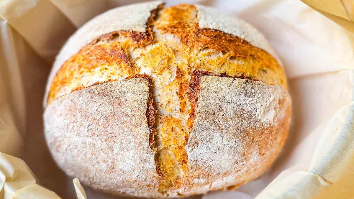 A loaf of homemade whole wheat sourdough bread in the Dutch oven it was just baked in.