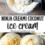 A scoop of creamy homemade Ninja Creami coconut ice cream topped with toasted coconut flakes in a white bowl.