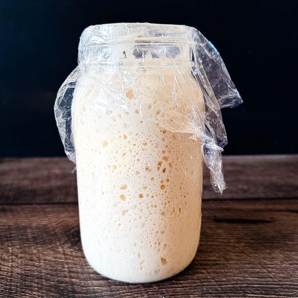 Active sourdough starter with a spongy, web-like structure and visible bubbles in a jar.