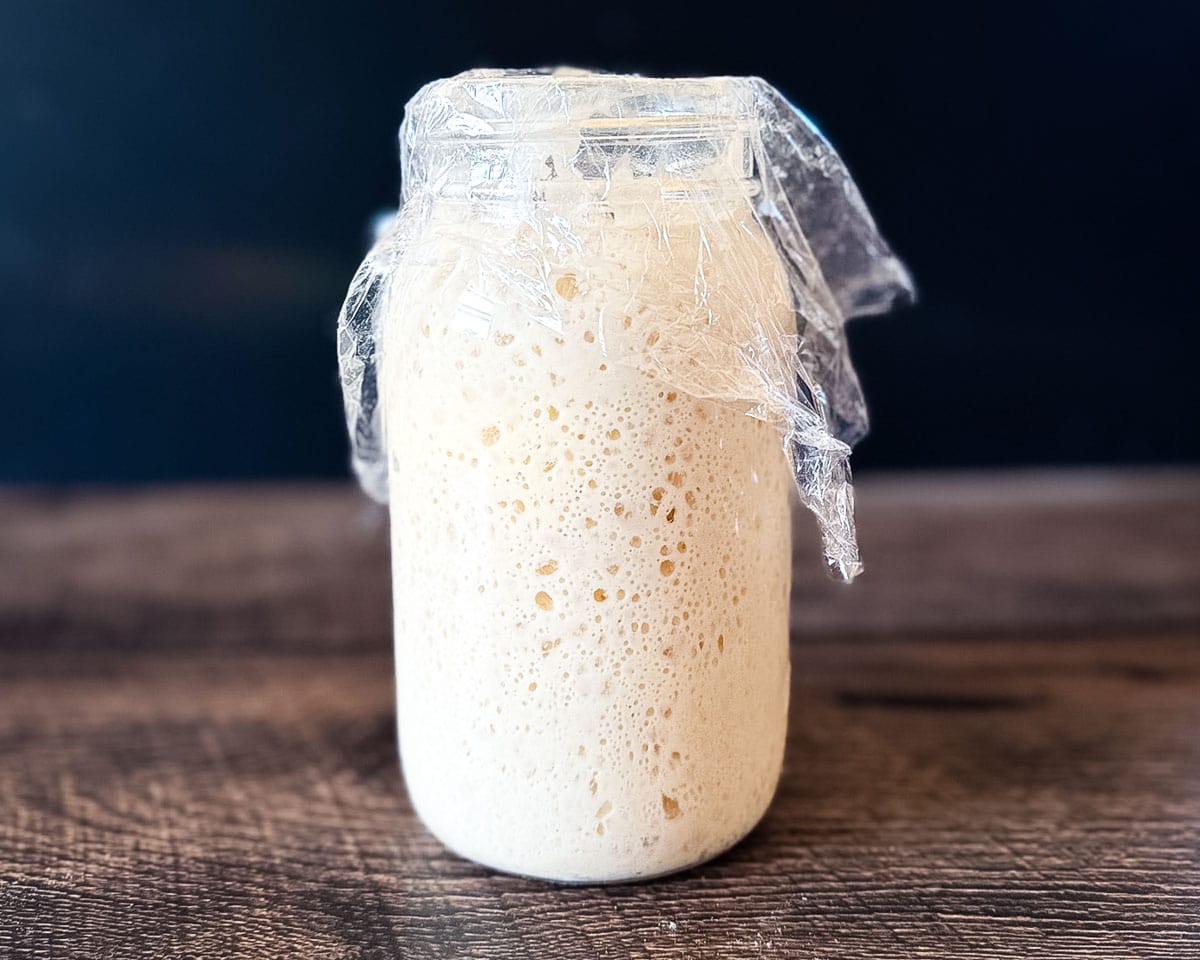 Close-up of mature sourdough starter with a spongy, web-like structure and visible bubbles.