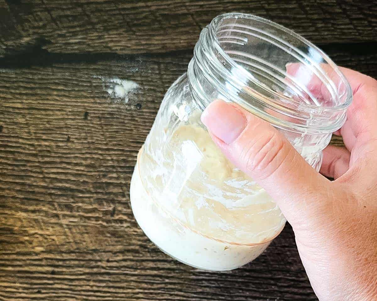 Sourdough starter in a jar after feeding, showing the rubber band on the outside of the jar.