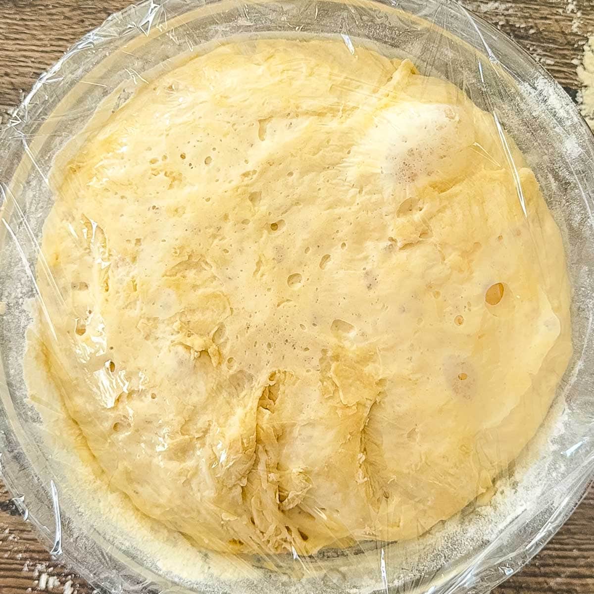 No knead sourdough dough after bulk rise, showing bubbles and expansion in a covered bowl.