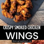 A platter of crispy Pit Boss smoked chicken wings with a golden brown dry rub, served with a side of wing sauce.