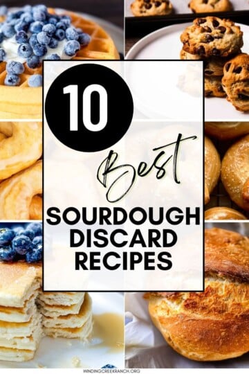 Collage of sourdough discard recipes including bread, pancakes, waffles, cookies, donuts, and pretzels.