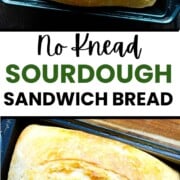 Easy no-knead sourdough sandwich bread with a soft crumb and golden crust baked in a loaf pan.