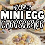 No-bake mini egg cheesecake with a creamy cheesecake filling, buttery graham cracker crust, and Cadbury mini eggs on top, sliced and served on a plate for an easy Easter dessert.