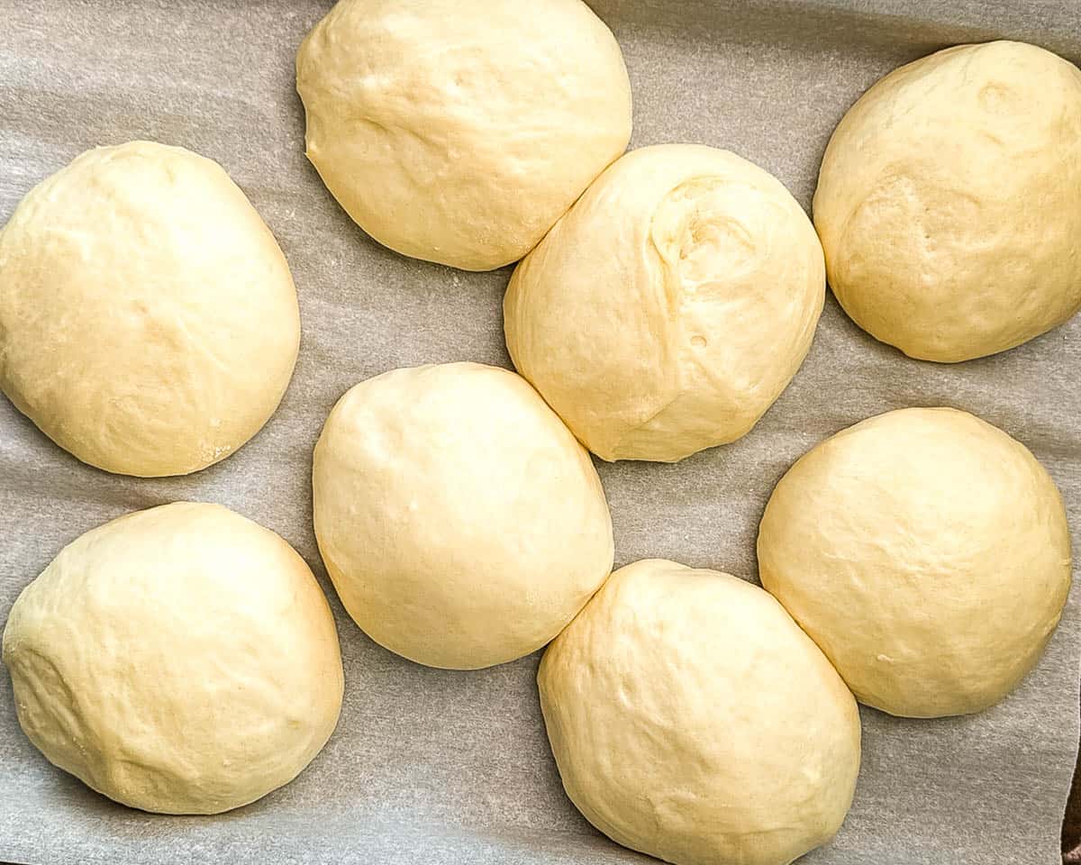 Sourdough buns after the second rise on a baking sheet.