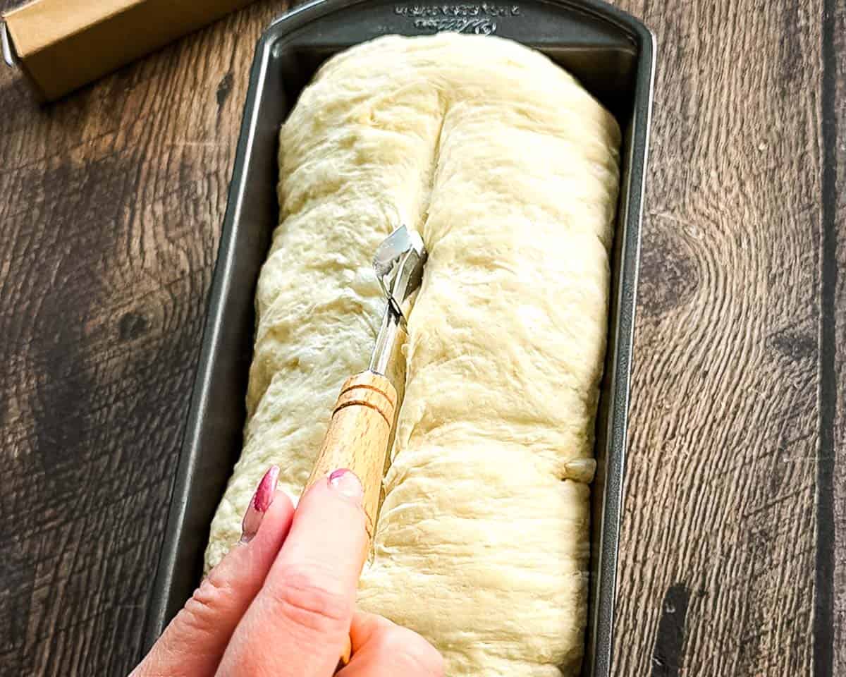 Scoring the top of the dough after the second rise, before baking.