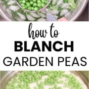 Green peas being blanched in boiling water on the stove, step in a freezing peas for storage tutorial.