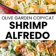 Olive Garden shrimp Alfredo copycat recipe with creamy fettuccine, sautéed shrimp, Parmesan cheese, and parsley.