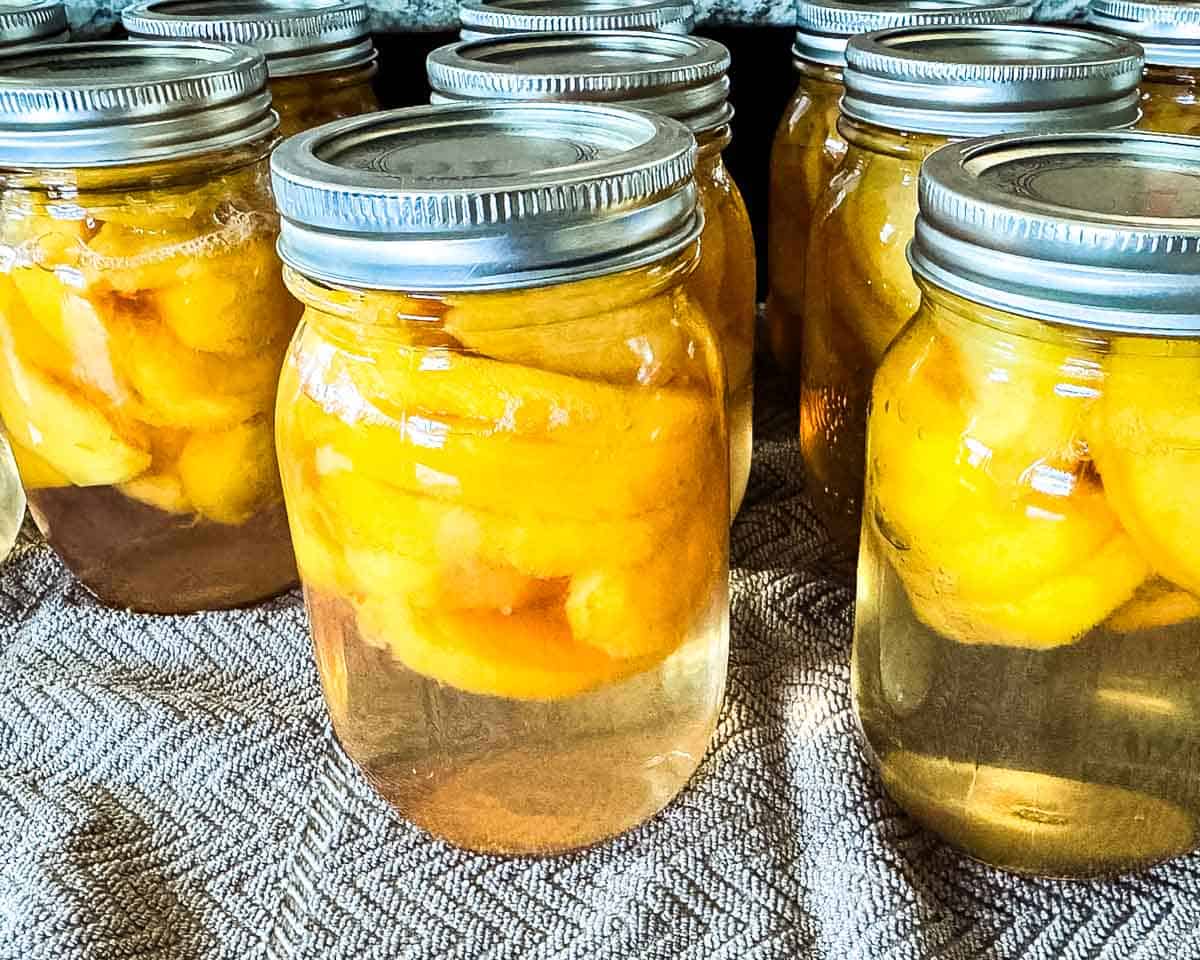 Processed jars of canned peaches cooling on a towel.
