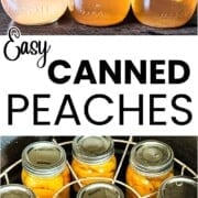 Pint jars of canned peaches ready for long term storage.