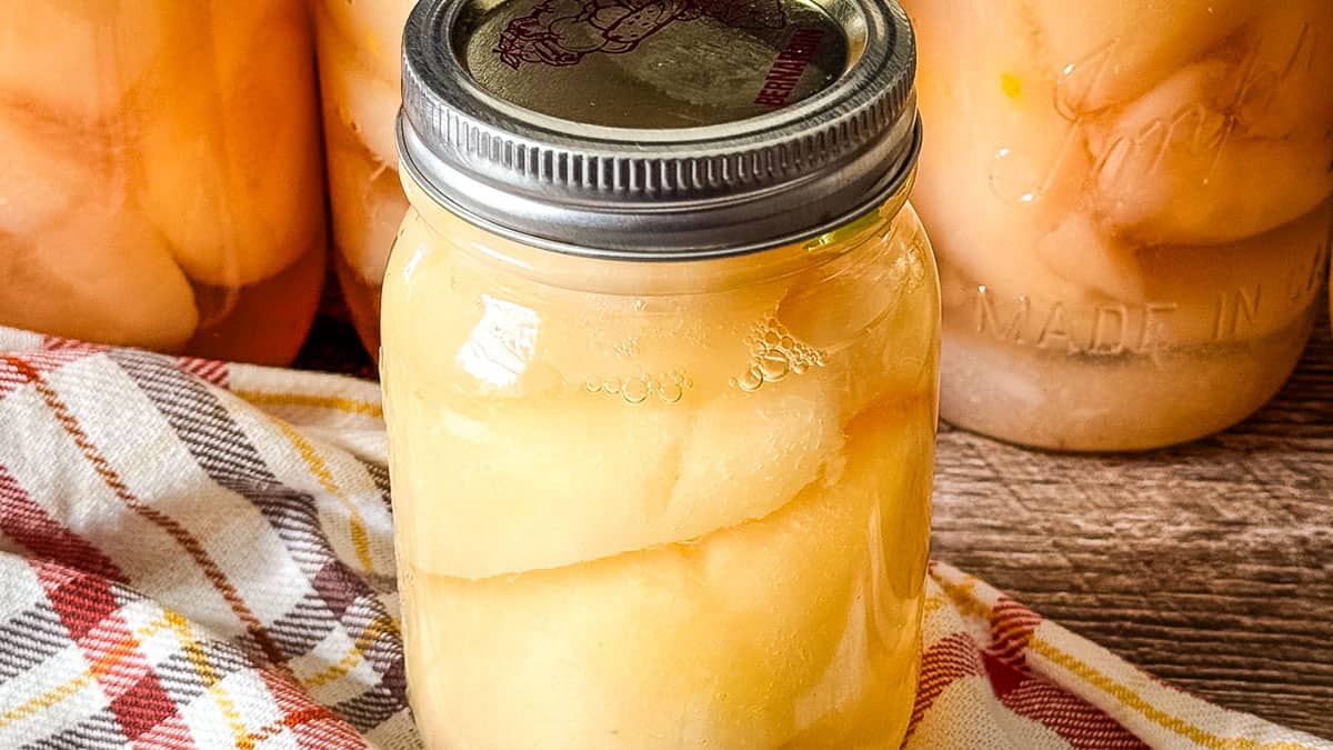 Home-canned pear halves cooling in mason jars after processing.